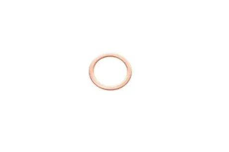 Прокладка зливної пробки RENAULT 331729798R