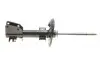 Амортизатор (передний) Renault Master III 10- RENAULT 543024506R (фото 4)