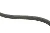 Комплект ременя генератора Kangoo 1.4i/1.6i 97- (5PK1100) RENAULT 77 01 477 522 (фото 4)