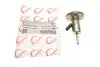 Форсунка AdBlue Audi/Skoda/VW 2.0 TDI 20- (всередині OE VAG) ROTWEISS 05L131113E (фото 1)