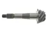 Головна пара в міст Nissan Navara (37x8) ROTWEISS 38100F5680 (фото 2)