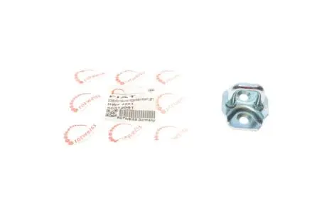 Петля замка дверей (передніх) Fiat Doblo 01- ROTWEISS 50512981