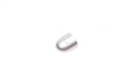Заглушка ручки дверей (L) Renault Laguna/Megane/Scenic 03-09 (сіра) ROTWEISS RWS1971