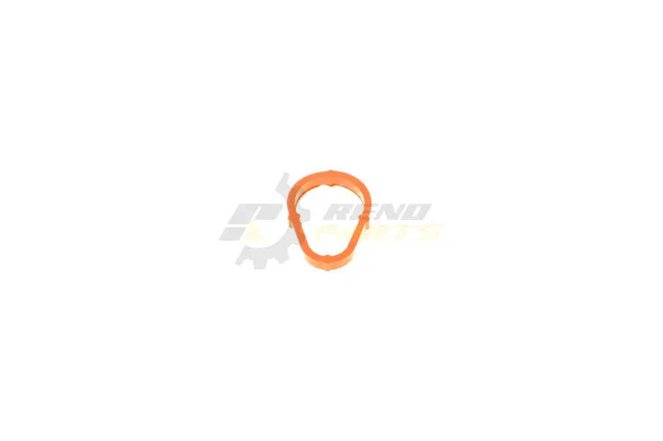 Прокладка вакуумного насоса Citroen Jumper/Peugeot Boxer 2.0/2,2 HDi 02- ROTWEISS RWS2488 (фото 1)