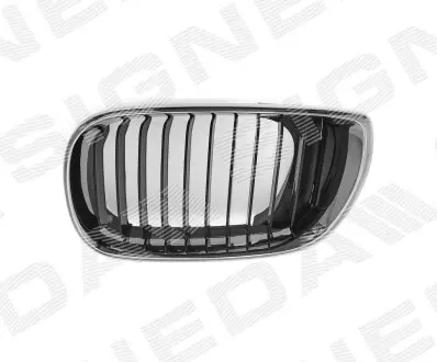 Решетка радиатора Signeda PBM07012GAL