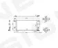 Радіатор кондиціонера Signeda RC941076B (фото 1)