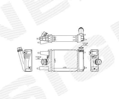 Інтеркулер Signeda RI96153