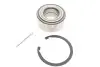 Подшипник ступицы (комплект) SKF VKBA 3906 (фото 1)