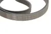 Комплект ремня генератора SKF VKMA 36038 (фото 4)