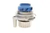 Комплект ремня ГРМ с водяным насосом SKF VKMC 01113-1 (фото 9)