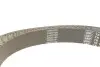 Комплект ремня ГРМ з водяним насосом SKF VKMC 01263-1 (фото 4)