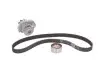 Комплект ремня ГРМ с водяным насосом SKF VKMC 02206-2 (фото 1)