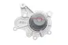 Комплект ремня ГРМ з водяним насосом SKF VKMC 95660-3 (фото 9)