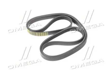 Пас поликлиновый 6РК2245 SSANGYONG 6659970392