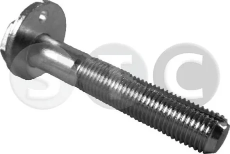 Ексцентрик Nissan Primera STC T439276