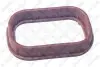 Прокладка впускного колекора Ford 2.0DI/2.0TDI/2.4DI 00- STELLOX 11-26007-SX (фото 1)