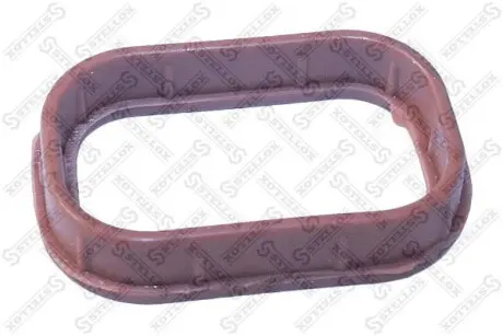 Прокладка впускного коллектора Ford 2.0DI/2.0TDI/2.4DI 00- STELLOX 11-26007-SX