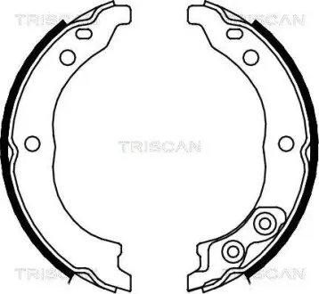 Комплект тормозных колодок, стояночный тормоз TRISCAN 810010010