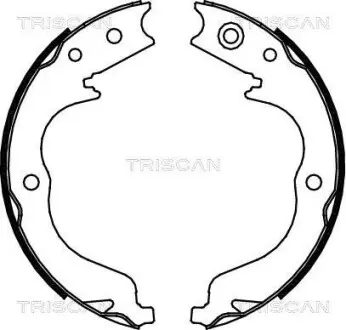 Комплект гальмівних колодок, стоянкове гальмо TRISCAN 810010029 (фото 1)