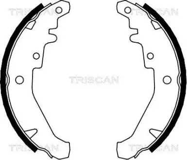 Комплект гальмівних колодок TRISCAN 810015026