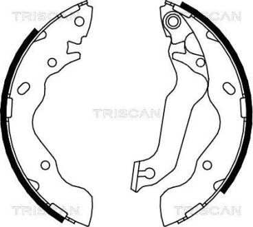 Комплект гальмівних колодок TRISCAN 810043013