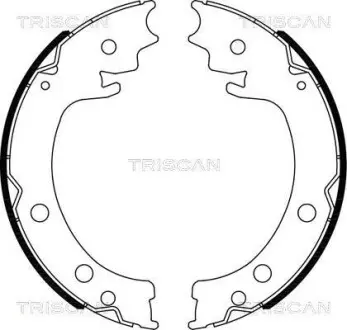 Комплект гальмівних колодок, стоянкове гальмо TRISCAN 810069006 (фото 1)