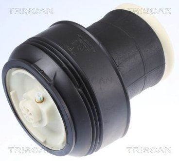 Ресора пневматическая задняя BMW X5 (E70) 3.0-4.8 02.07-06.13 TRISCAN 872011203