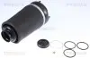 Пневмобаллон Mercedes-Benz MB164 05-13 TRISCAN 872023101 (фото 1)