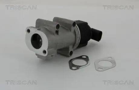 Клапан EGR Alfa Romeo 147, 156 Fiat Bravo/Doblo/Marea/Multipla 1.9JTD, 2.4JTD 09.97- TRISCAN 881310005