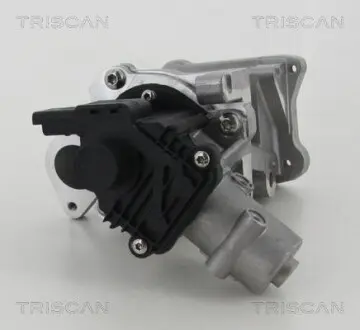 Клапан рециркуляції отработанных газов FORD MONDEO 2.2TDCI 08- /PB/ TRISCAN 881310007