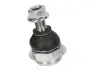 Кульова опора лів./прав. Citroen Berlingo, C4 I, II, Picasso I, Grand Picasso I Peugeot 307, 308 CC, Partner 1.4-2.0Hdi 08.00- TRW JBJ701 (фото 1)