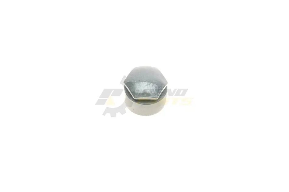 Ковпачок болта колісного Audi Q5/Q7 15- VAG 4M0601173D (фото 1)