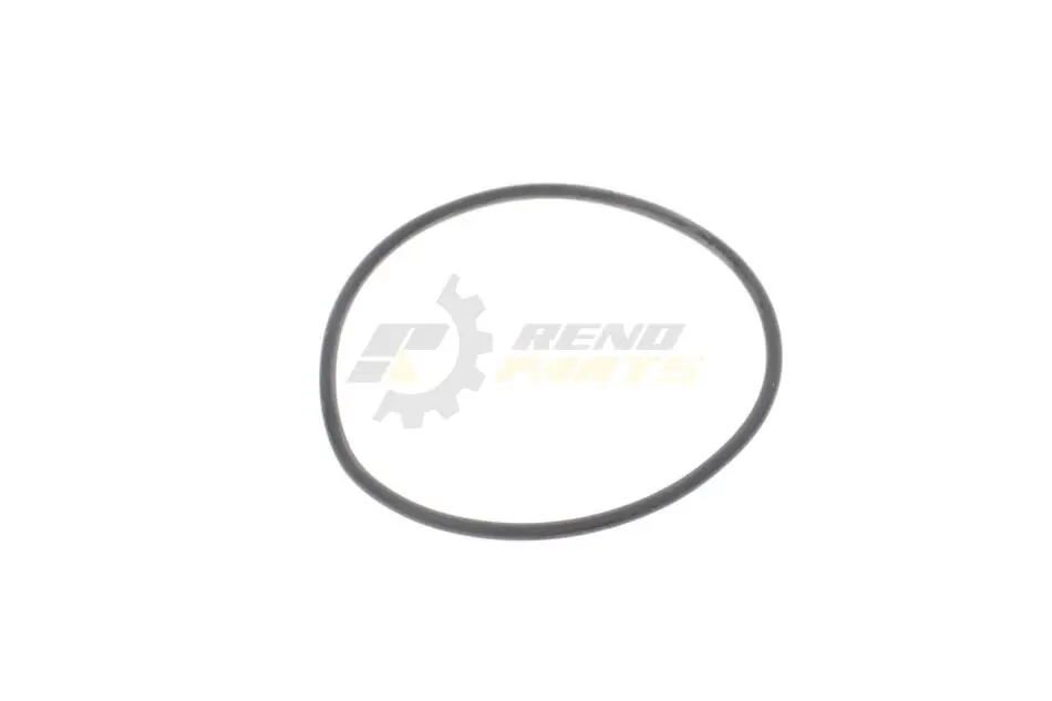 Кільце ущільнююче VAG N91077901 (фото 1)