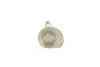 Болт эксцентриковый VAG WHT000228A (фото 2)