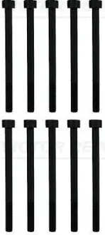 Комплект болтов головки цилидра VICTOR REINZ 141017301