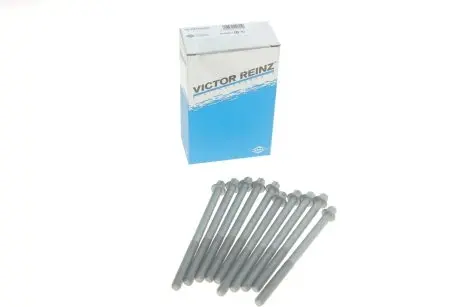 Комплект болтів з головкою системи TORX з чорного металу VICTOR REINZ 14-32102-01