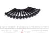 Комплект болтов с головкой системы TORX из черного металла VICTOR REINZ 14-32109-03 (фото 5)