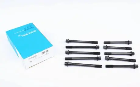 Комплект болтов с головкой системы TORX из черного металла VICTOR REINZ 14-55002-01