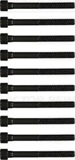 Комплект болтів головки цилідра VICTOR REINZ 145503601