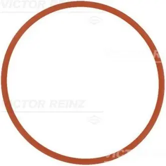 Прокладка коллектора двигателя резиновая VICTOR REINZ 711737000