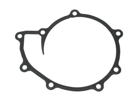 Прокладка водяного насосу VICTOR REINZ 713671100