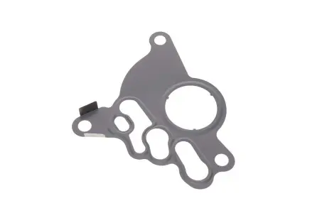 Прокладка паливного насоса Audi A3, A4, Skoda Octavia, VW Golf, Jetta, Passat, Touran 2,0TDi 04-13 Vika 11450886601