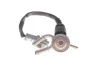 Модуль форсунки впрыска мочевины (ADblue) Nissan Qashqai/X-Trail 1.7 dCi/Renault Trafic 2.0 dCi 19- VITESCO 585 0013 10 (фото 4)